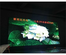 山东p5